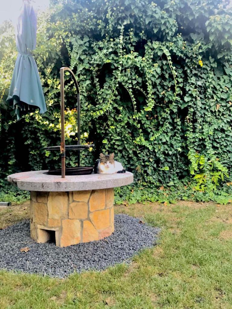 Aranyló apartmanház Hajdúszoboszló Esterno foto